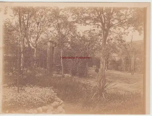 (F15275) Orig. Foto Gartenanlage, Weg, Brunnen 1910er