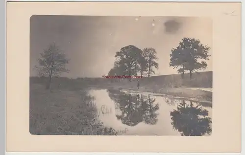 (F15266) Orig. Foto Landschaft, Fluss, Bäume 1910er