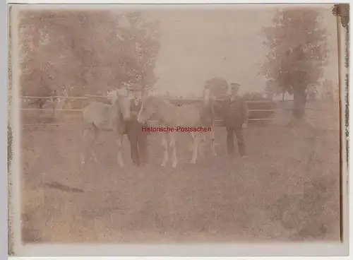 (F15251) Orig. Foto Personen mit Pferden in Pferdekoppel 1910er
