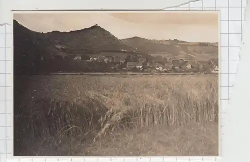 (F15242) Orig. Foto Rühle (Bodenwerder), Blick zum Weinberg 1930er