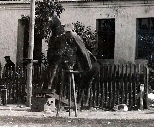 (F1513) Orig. Foto 1.WK Attrappe eines Pferdes vor einem Gebäude, 1914-18