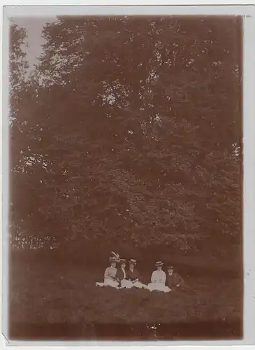 (F1482) Orig. Foto Herr mit Damen rasten unter einem Baum, 1920er
