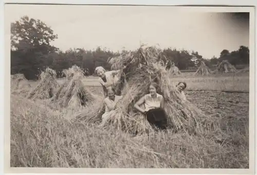 (F14742) Orig. Foto Müden (Örtze), Frauen verstecken sich in Getreidegarben 1932