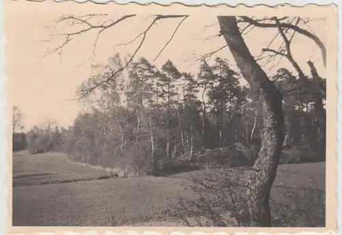 (F14722) Orig. Foto Lethe bei Ahlhorn, Landschaftspartie 1932