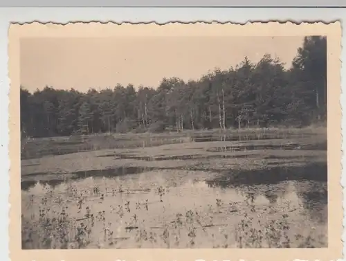 (F14721) Orig. Foto Lethe bei Ahlhorn, Teichpartie 1932