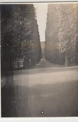 (F14644) Orig. Foto Bad Pyrmont, Kurpark 1932