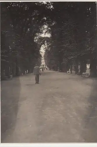 (F14610) Orig. Foto Bad Pyrmont, Blick zum Hyllige Born 1932