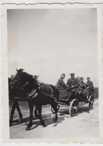 (F14486) Orig. Foto deutsche Soldaten auf einem Pferdewagen 1940er