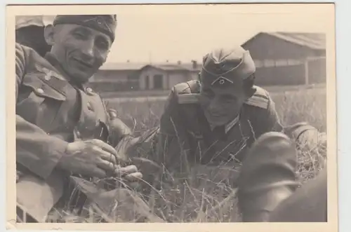 (F14402) Orig. Foto deutsche Soldaten liegen im Gras 1940er