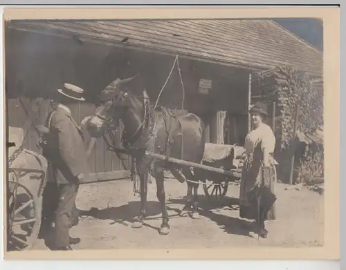 (F14334) Orig. Foto Maultiergespann vor Scheune 1911