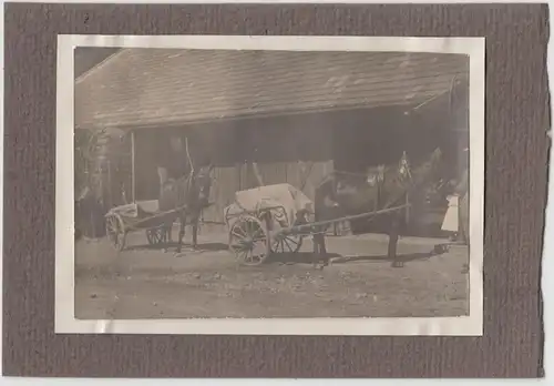 (F14333) Orig. Foto Maultiergespanne vor Scheune 1911