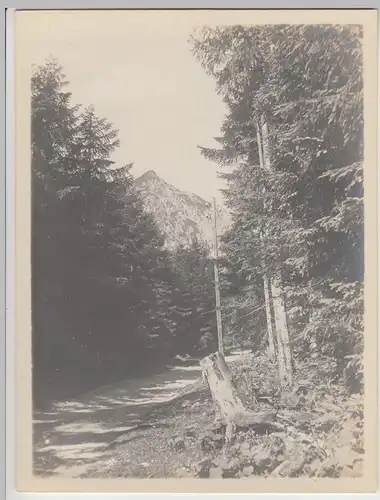 (F14318) Orig. Foto Blick zum Herzogstand 1911