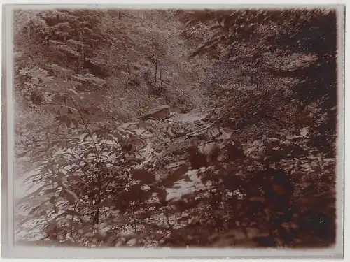(F14299) Orig. Foto Partie am Ravennafall im Höllental 1911