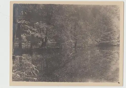 (F14297) Orig. Foto Ravennateich im Höllental 1911