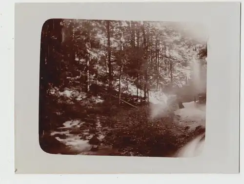(F14289) Orig. Foto Schwarzwald, Partie bei Allerheiligen 1911