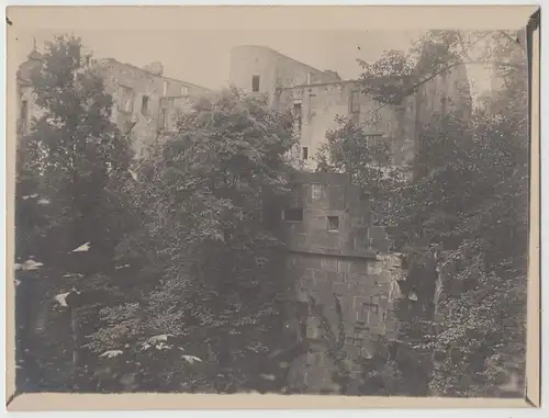 (F14283) Orig. Foto Heidelberg, Schlosspartie 1911