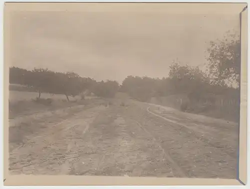 (F14242) Orig. Foto Ferch (Schwielowsee), Straße um 1910
