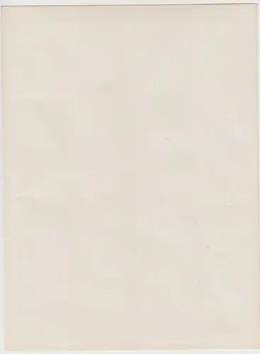 (F14224) Orig. Foto Wohnzimmer, Einrichtung 1911