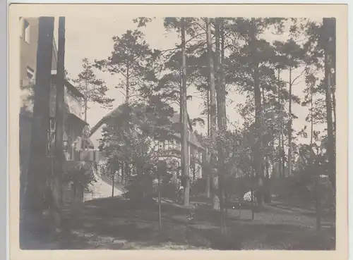 (F14202) Orig. Foto Berlin Grunewald, Villen, hinter den Häusern 1910