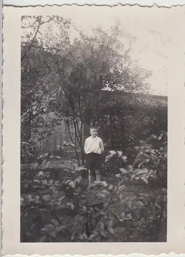 (F14149) Orig. Foto kleiner Junge steht im Garten 1936