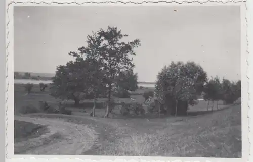 (F14076) Orig. Foto Partie an der Oder bei Gohlitz 1944