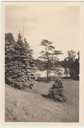 (F14075) Orig. Foto Landschaft bei Frankfurt / Oder, 1944