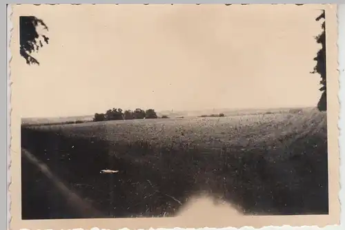 (F14049) Orig. Foto Blick vom Feld nach Frankfurt / Oder 1940er