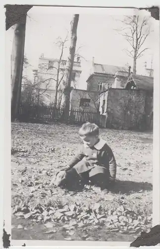 (F13900) Orig. Foto kleiner Junge Klaus mit Hund "Hexe" im Freien in Hamburg 194