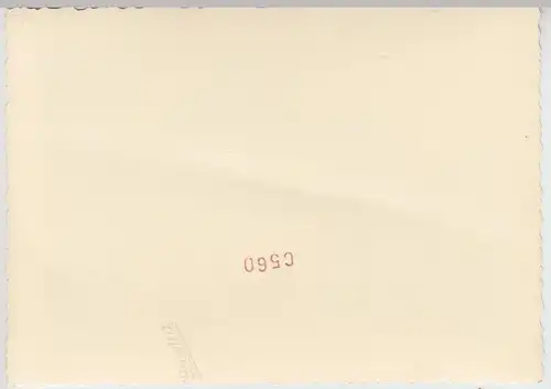 (F13790) Orig. Foto Trachtenfest in Bayern 1950/51