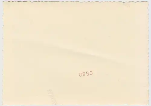 (F13789) Orig. Foto Trachtenfest in Bayern 1950/51