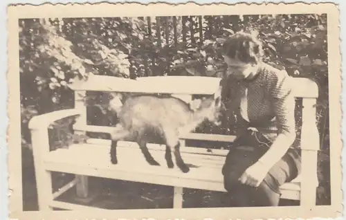 (F13628) Orig. Foto Dame mit junger Gams, Gämse auf einer Bank 1940
