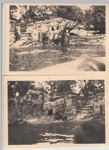 (F13571) 2x Orig. Foto Berlin, Robben, Seehunde im Berliner Zoo 1938