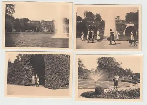 (F13564) 6x Orig. Foto Potsdam, Sanssouci, Wanderung Ausfahrt 1938