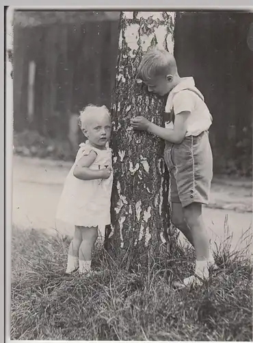 (F13381) Orig. Foto Kinder stehen am Baum, Sommer 1929