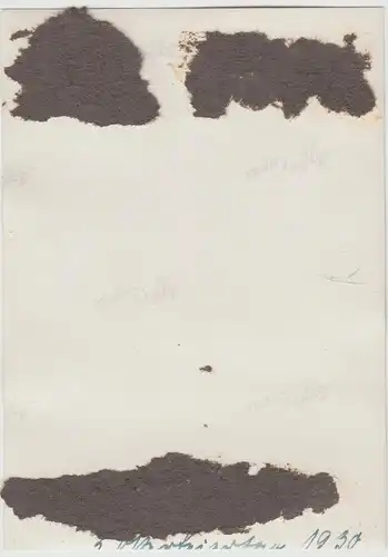 (F13373) Orig. Foto Herr mit Kind auf Arm, Spaziergang mit Damen 1930