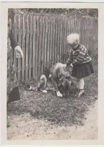 (F13321) Orig. Foto Kind Ursula mit Hund im Garten i. Landsberg / Warthe 1929