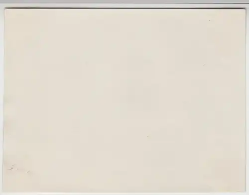 (F13230) Orig. Foto Personen stehen am Gartenzaun, Spaziergang 1920er