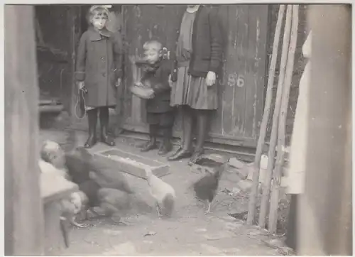 (F13192) Orig. Foto Kinder füttern Hühner im Hof 1920er