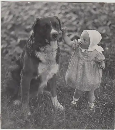 (F13112) Orig. Foto Kleinkind mit großem Hund, Juli 1930