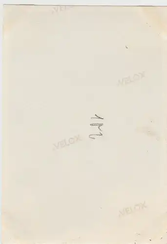 (F13105) Orig. Foto an der Edmundsklamm 1929