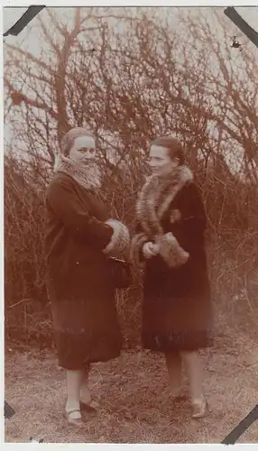 (F13043) Orig. Foto Damen mit Pelzbesetzten Mänteln im Freien 1928