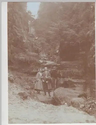(F13009) Orig. Foto Personen bei der Wanderung, Elbsandsteingebirge 1926