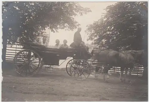 (F12949) Orig. Foto Frauen sitzen in einer offenen Pferdekutsche um 1925