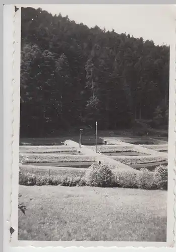 (F12927) Orig. Foto Calmbach (Bad Wildbad), Forellenzucht-Teiche 1937