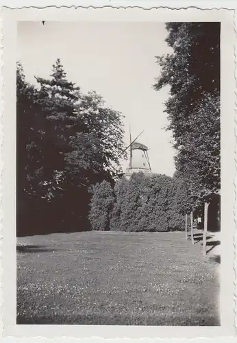 (F12917) Orig. Foto Potsdam Sanssouci, Blick zur Windmühle 1937