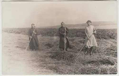 (F12783) Orig. Foto Landfrauen bei der Heuernte 1933