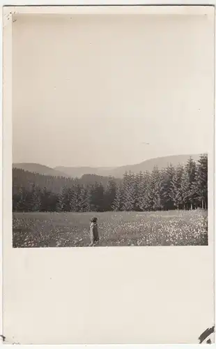 (F12693) Orig. Foto Gehlberg / Thür. 1930, Klein Ursula auf der Blumenwiese am A