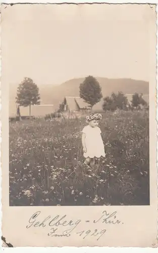 (F12678) Orig. Foto Blumenkind Ursula auf Wiese, Gehlberg i. Thür., Juni 1929