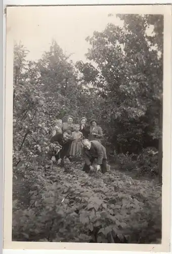 (F12632) Orig. Foto Personengruppe im Freien 1954