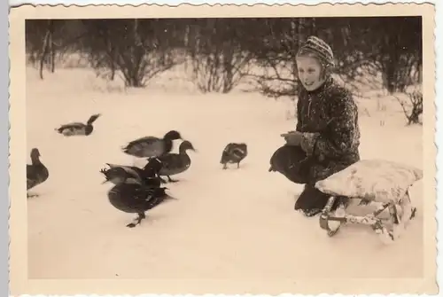 (F12532) Orig. Foto Leipzig Scherbelberg, Kind m. Schlitten füttert Enten 1940